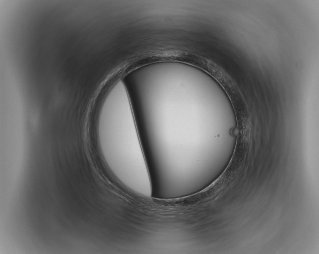 X0000116570731200912101003