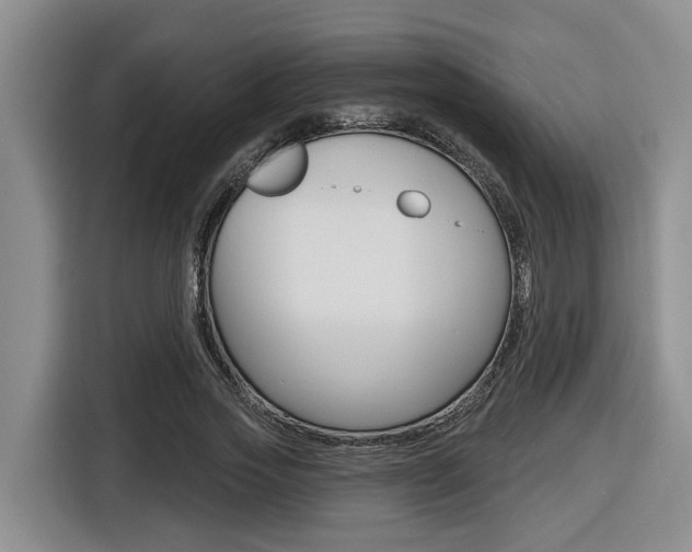 X0000116570733200912101003