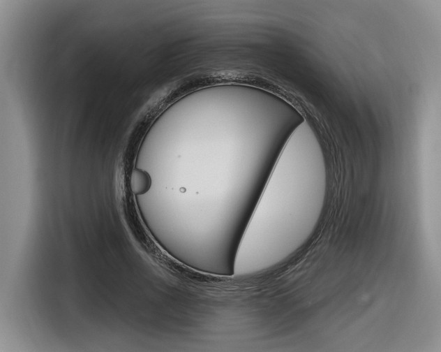 X0000116570734200912101003