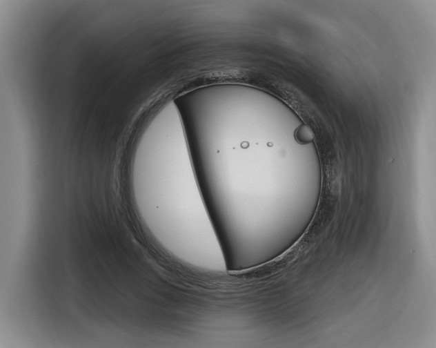 X0000116570735200912101003