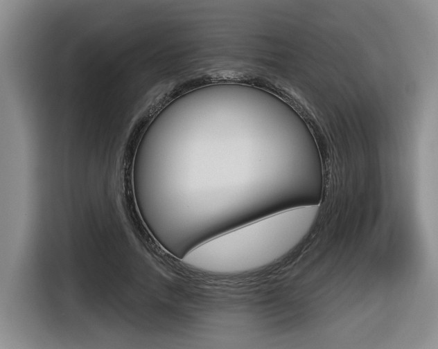 X0000116570738200912101003