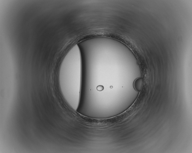 X0000116570739200912101003