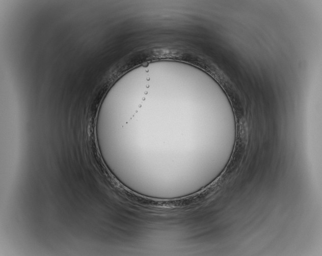 X0000116570741200912101003