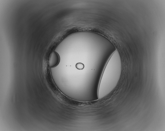 X0000116570742200912101003