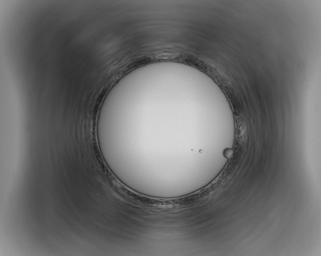 X0000116570745200912101003