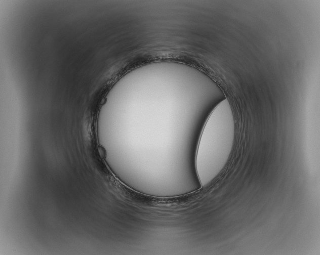 X0000116570746200912101003