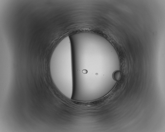 X0000116570747200912101003