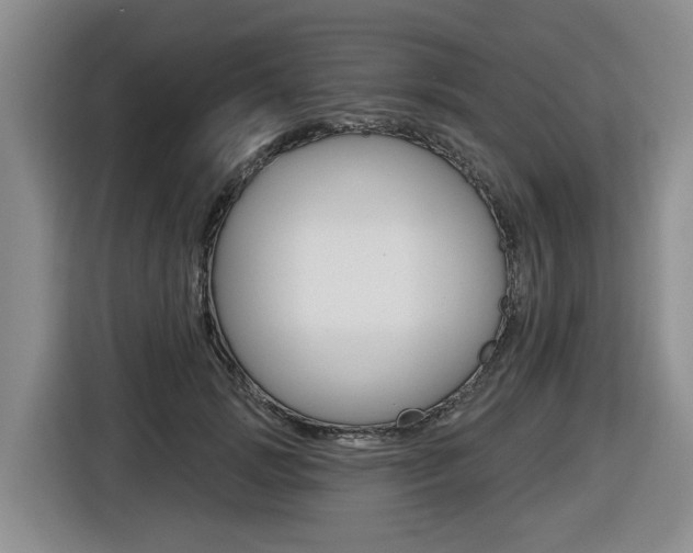 X0000116570749200912101003