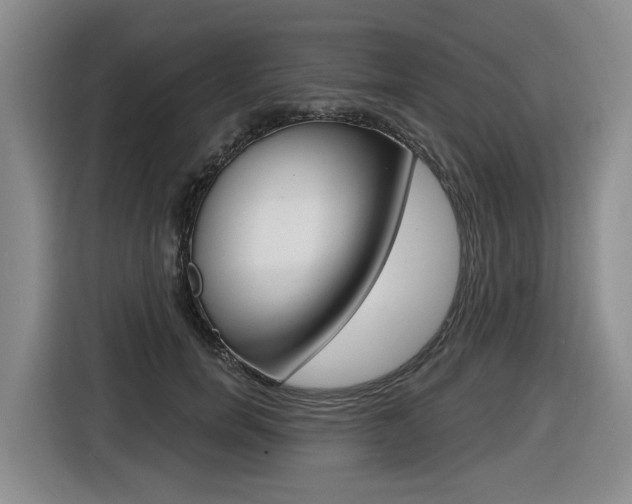 X0000116570750200912101003