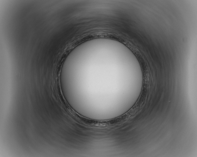 X0000116570751200912101003