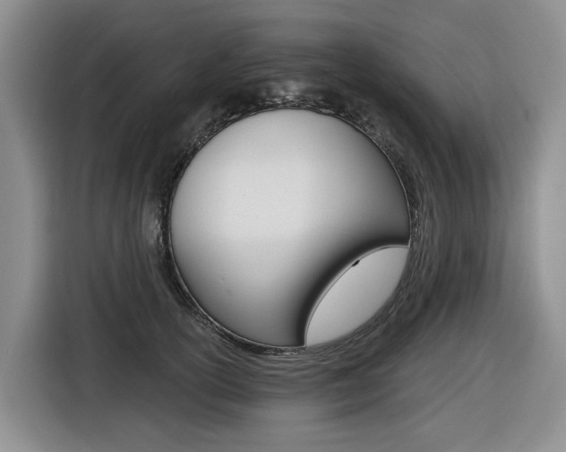 X0000116570754200912101003