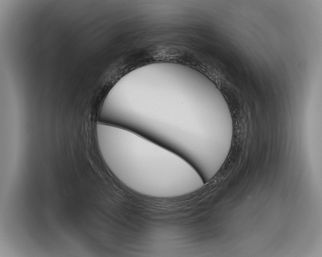 X0000116570755200912101003