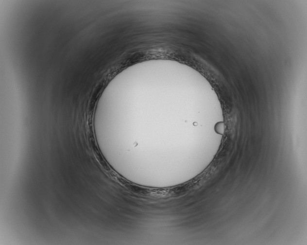 X0000116570757200912101003