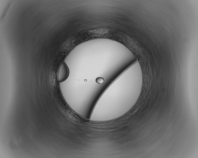 X0000116570758200912101003