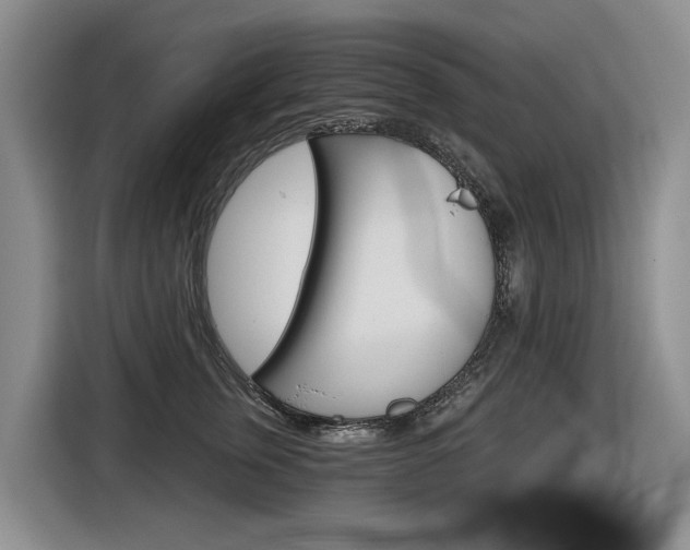 X0000116570759200912101003