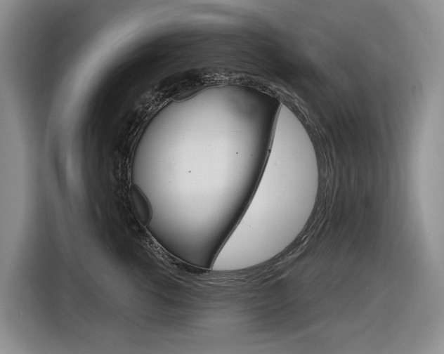 X0000116570762200912101003