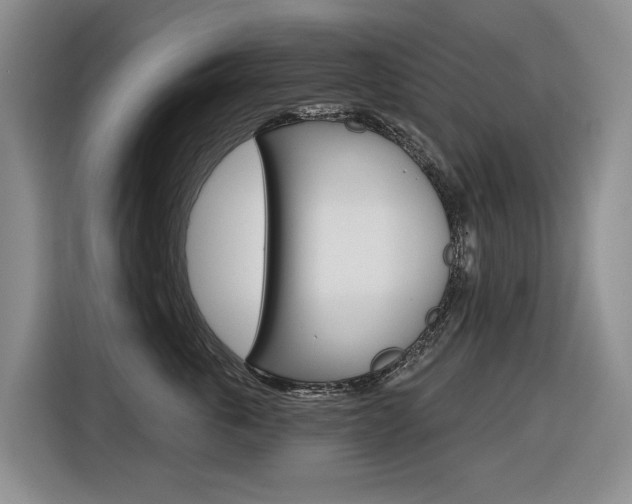 X0000116570763200912101003