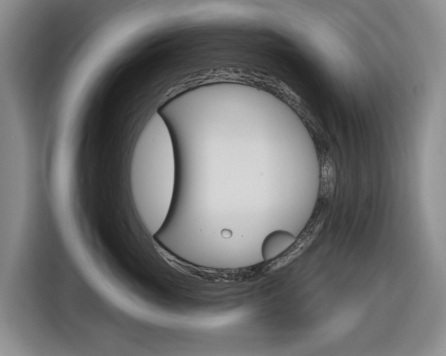 X0000116570765200912101003