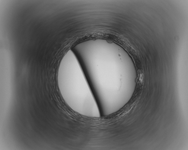 X0000116570771200912101003