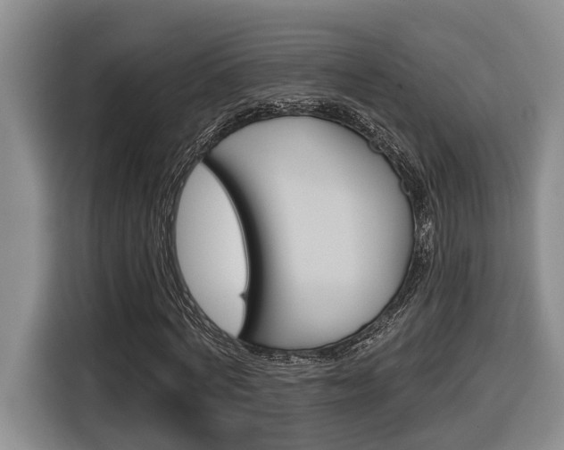 X0000116570772200912101003