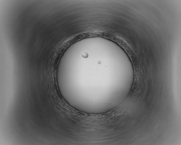 X0000116570773200912101003