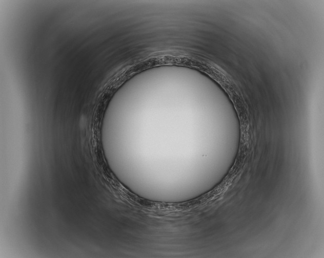 X0000116570774200912101003