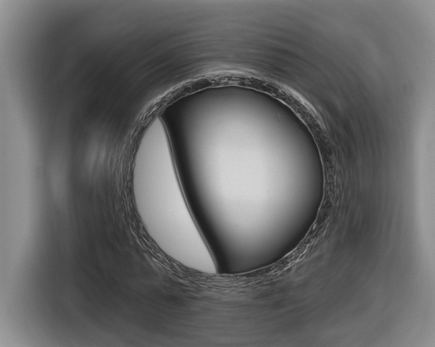 X0000116570775200912101003