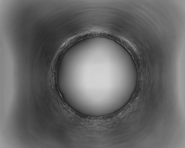 X0000116570776200912101002