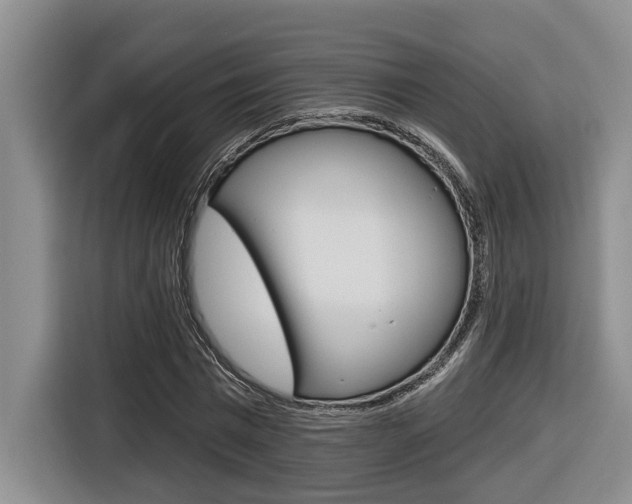 X0000116570777200912101002