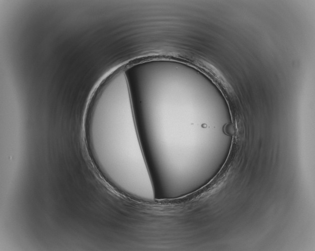 X0000116570780200912101002