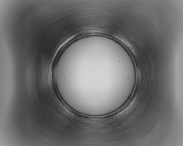 X0000116570782200912101002