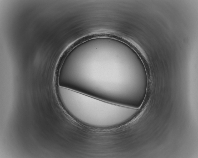 X0000116570783200912101002