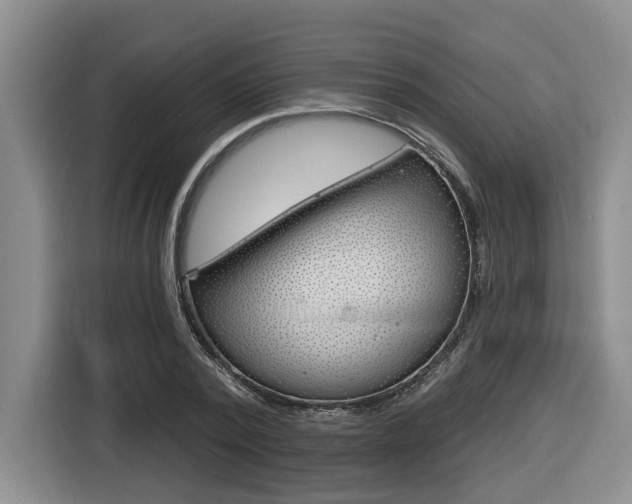 X0000116570784200912101002