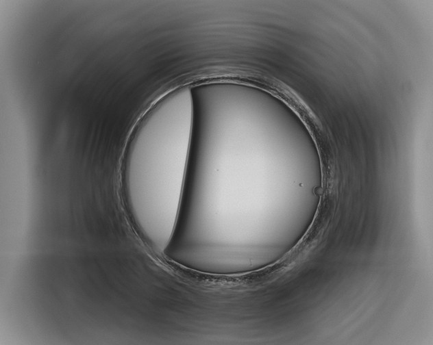 X0000116570786200912101002