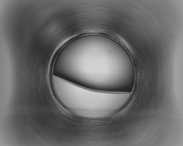 X0000116570787200912101002