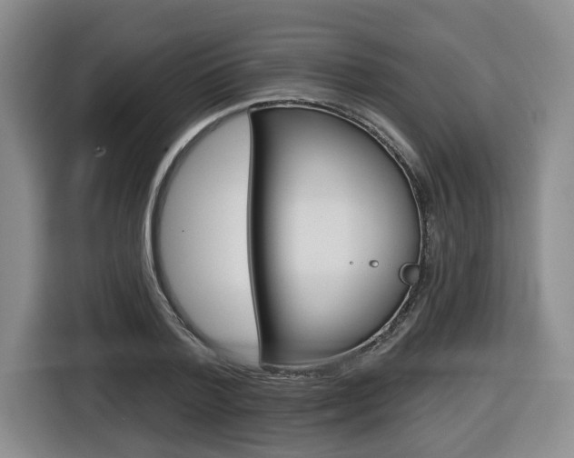 X0000116570788200912101002