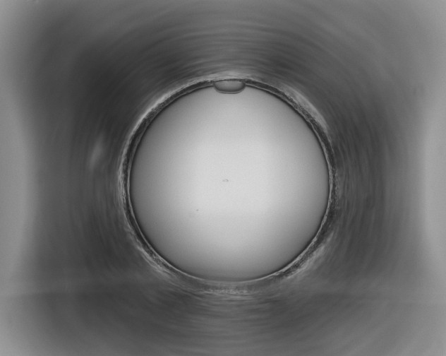 X0000116570789200912101002