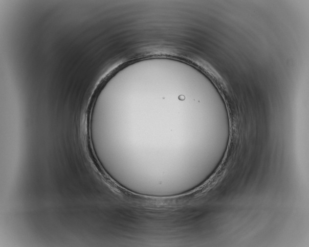 X0000116570790200912101002