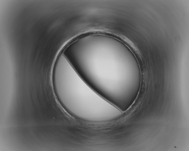 X0000116570791200912101002