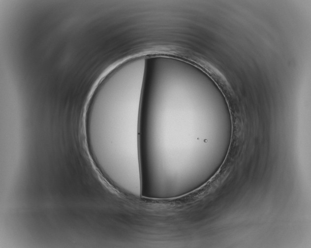 X0000116570792200912101002