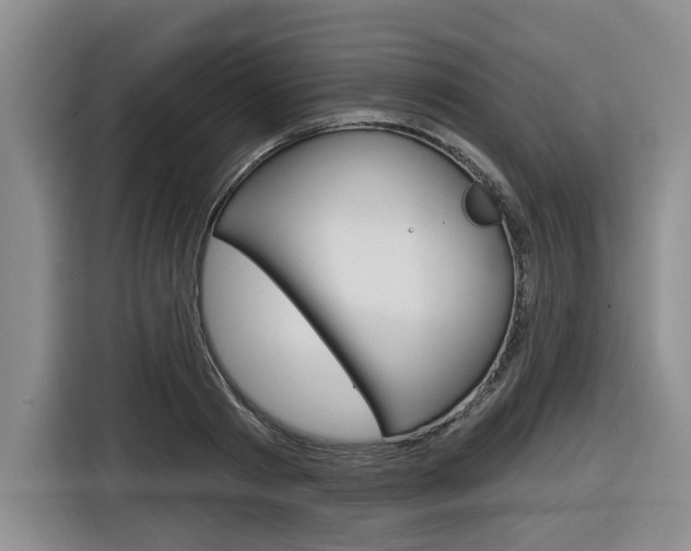 X0000116570793200912101002