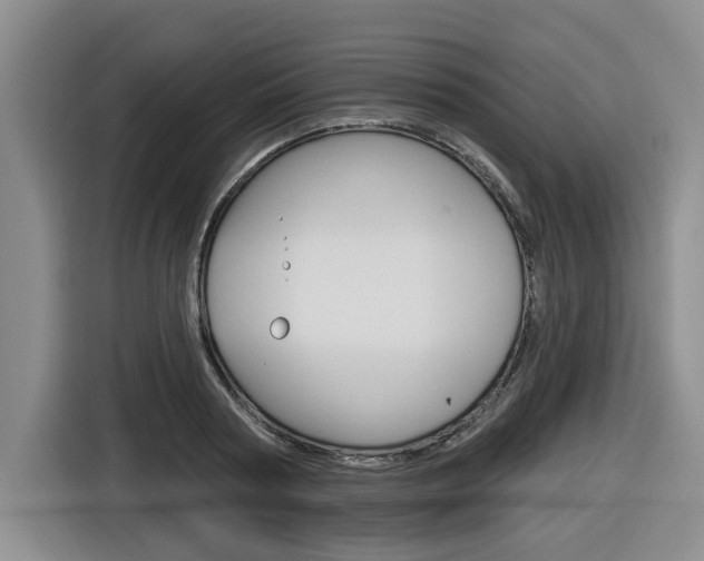 X0000116570794200912101002