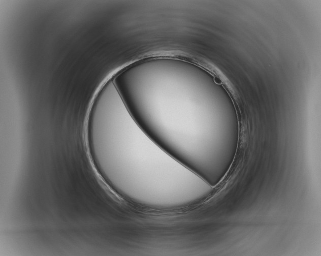 X0000116570795200912101002