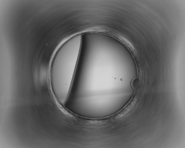 X0000116570800200912101002