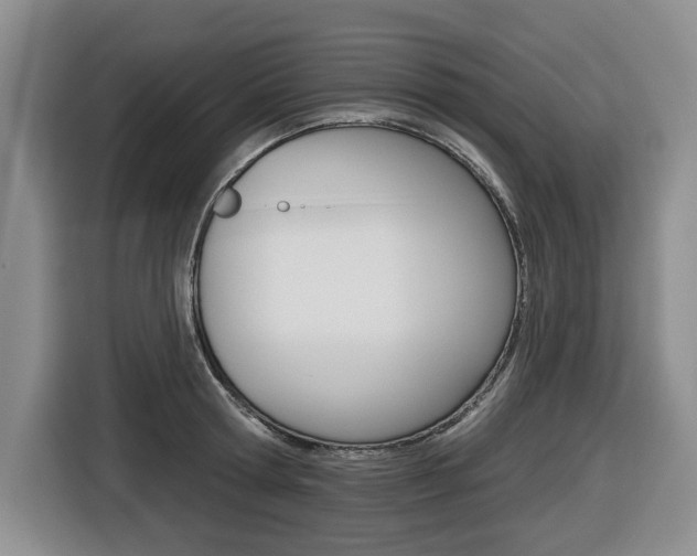 X0000116570802200912101002