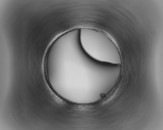 X0000116570803200912101002