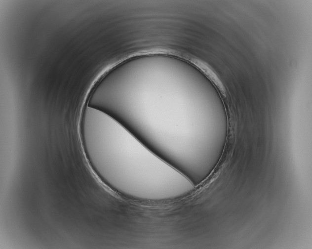 X0000116570805200912101002