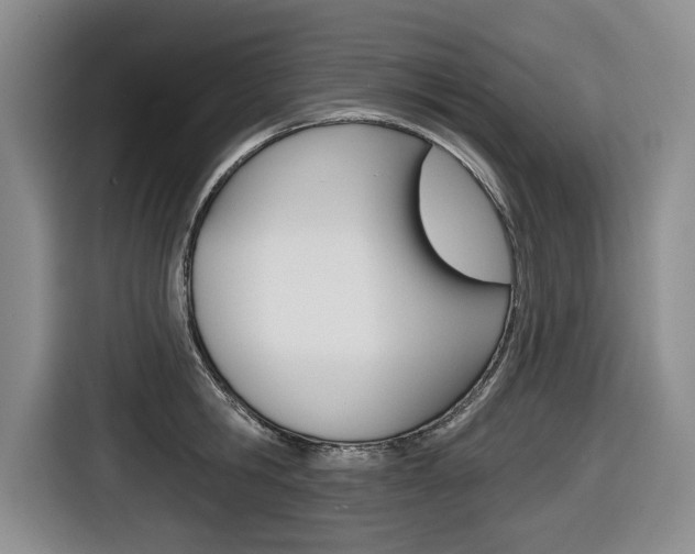 X0000116570806200912101002