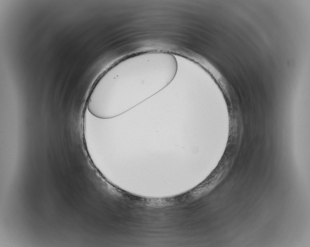 X0000116570807200912101002