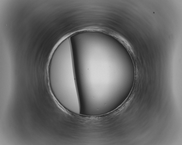 X0000116570808200912101002